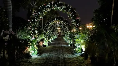 Entrance & pathway décor — Events, Dsouza Enterprises Mysuru